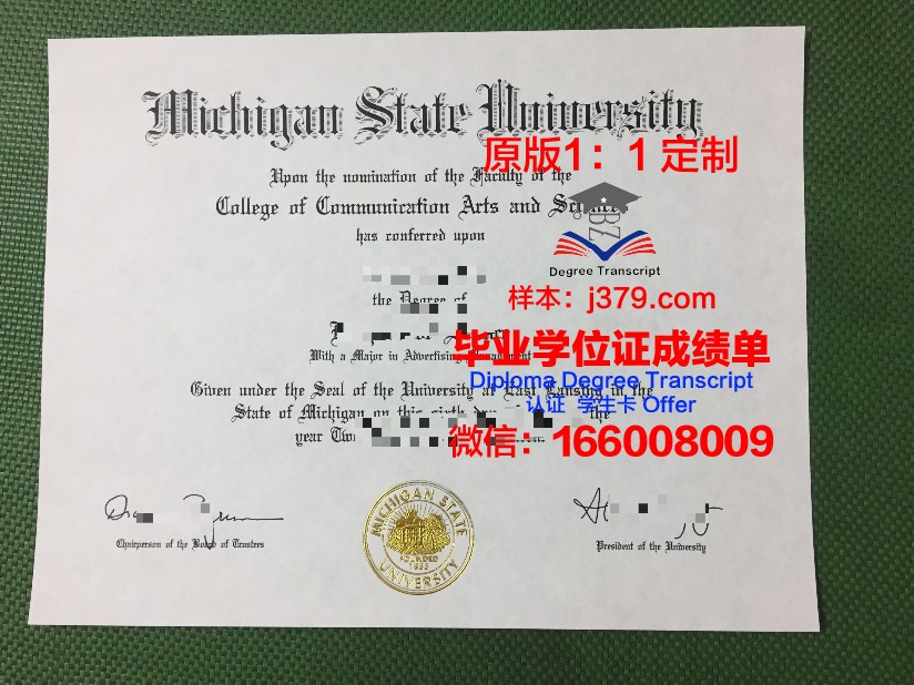 密歇根理工学位证:一张通往未来的通行证