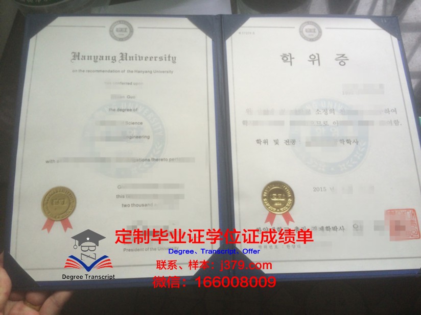 尼什大学博士学位证:开启学术新篇章的钥匙