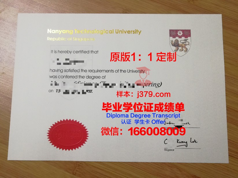 尼扎姆学院毕业证定制:传承与创新的艺术结晶