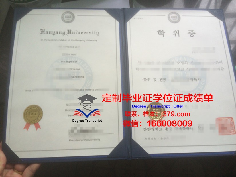 雅西国立艺术大学学位证书(雅西国立艺术大学学位证书有用吗)
