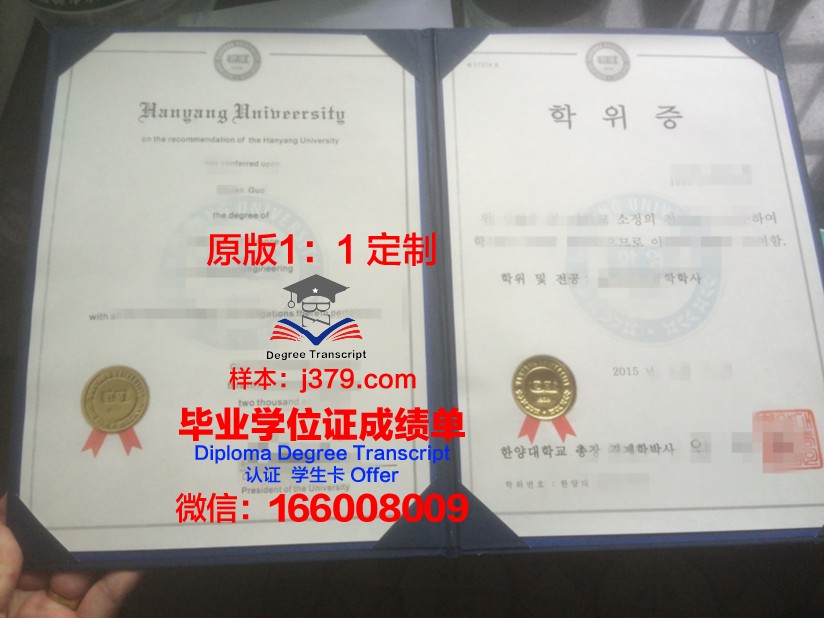 雷蒙马赛科技大学学位证成绩单:跨国教育的璀璨成果