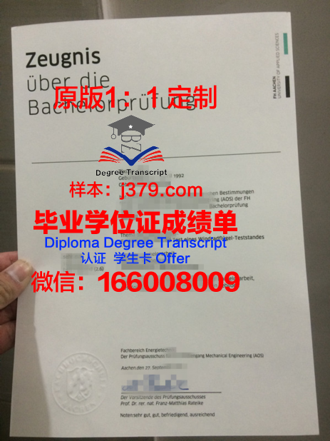 雷根斯堡大学成绩单：德国高等教育质量的见证