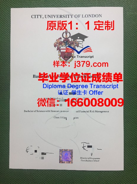 富克旺根艺术大学博士毕业证:开启艺术生涯的新篇章