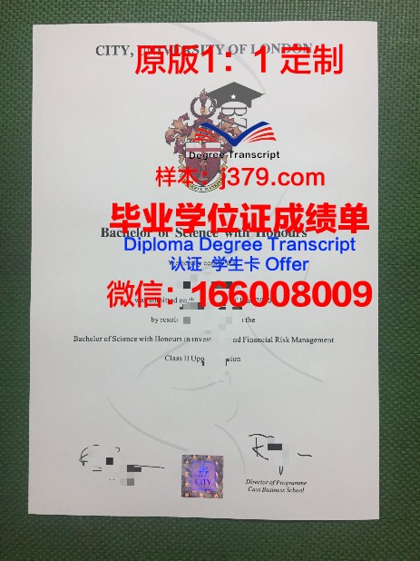 阿驰米尔学院毕业证图片