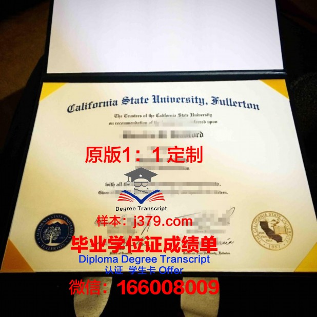 富尔顿蒙哥马利社区学院学位证(纽约富尔顿蒙哥马利学院)
