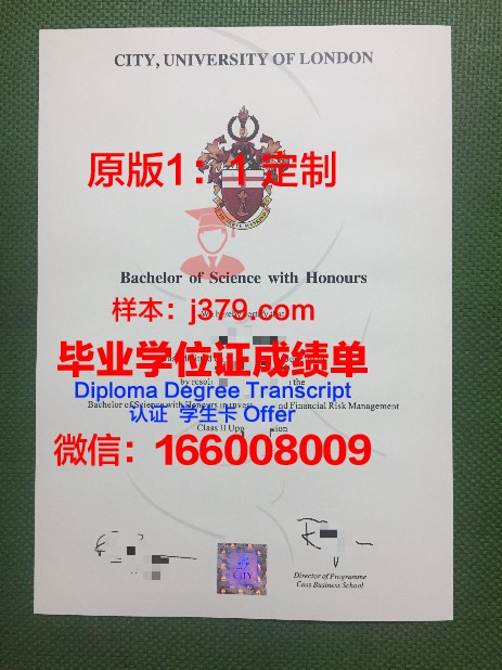 雪平硕士毕业证：承载知识与荣誉的证书