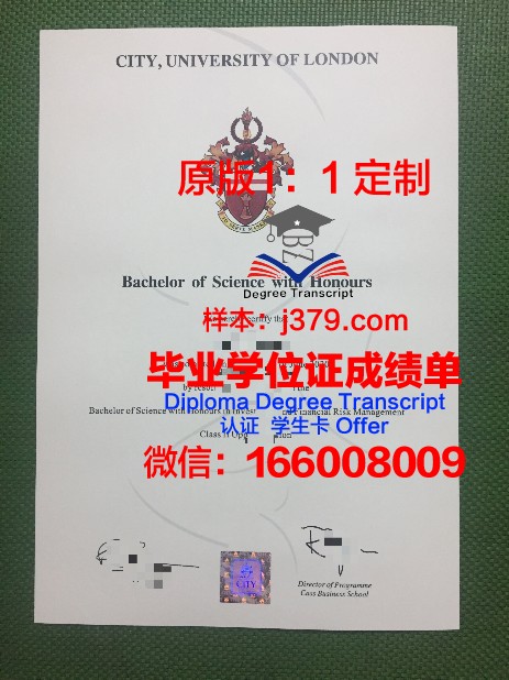 尼扎姆学院毕业证定制:传承与创新的艺术结晶