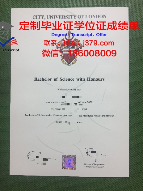 尼古拉·特斯拉联盟大学毕业证:穿越时空的学术传奇