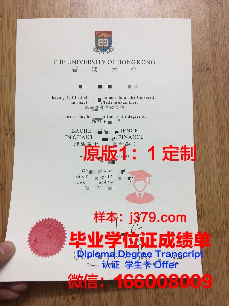 香港大学只有毕业证(香港大学本科毕业证样本)