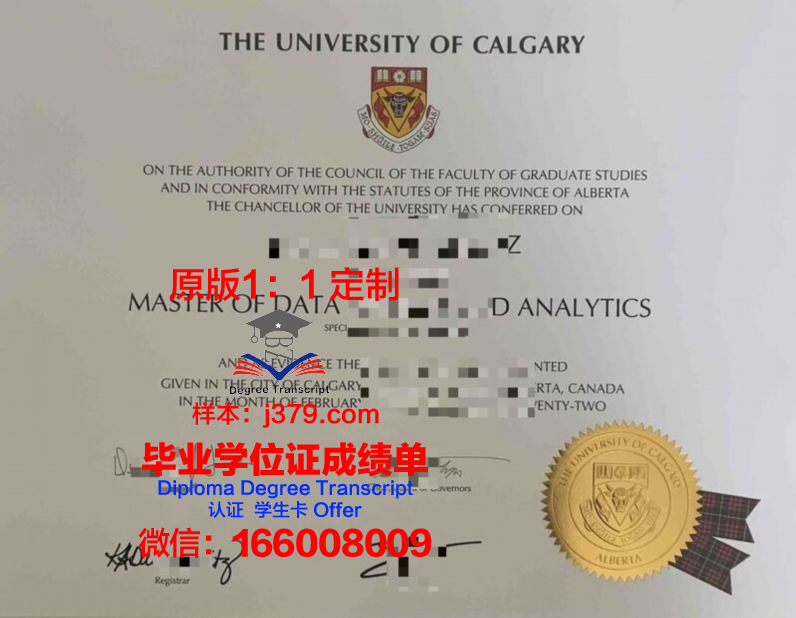 卡尔加里大学本科学位证：开启全球职业发展的大门