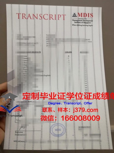 巴黎市工业物理化学学院成绩单：探索科学之光的摇篮