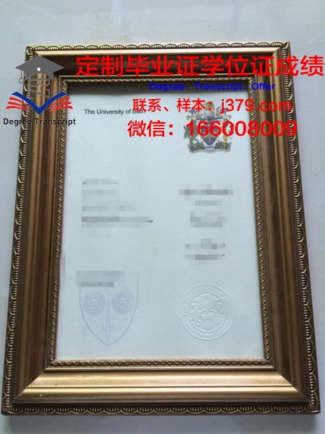 巴斯大学毕业证书图片(巴斯大学本科申请条件)