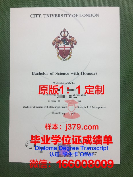 首尔大学毕业证成绩单(首尔大学毕业证图片)
