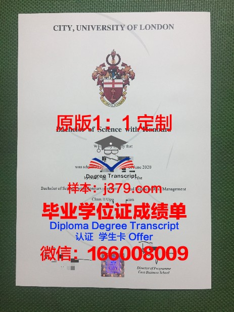颁发大学毕业证：成就与责任的交汇点