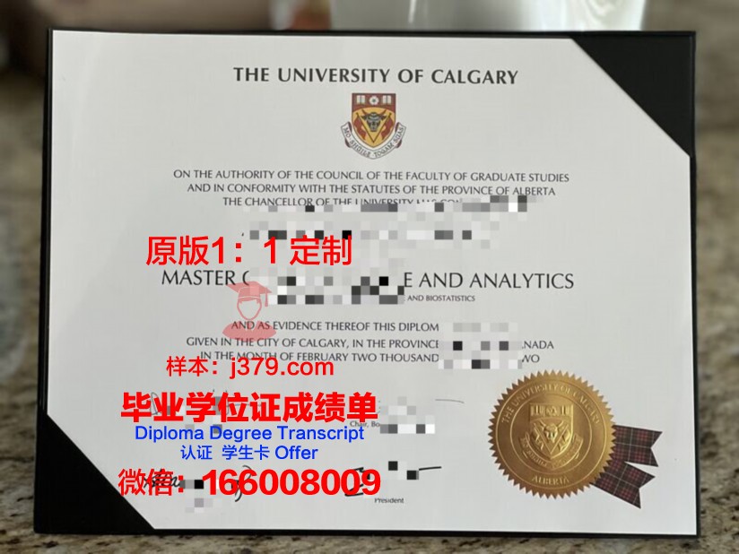 卡尔加里大学毕业证尺寸(卡尔加里大学回国认可度)