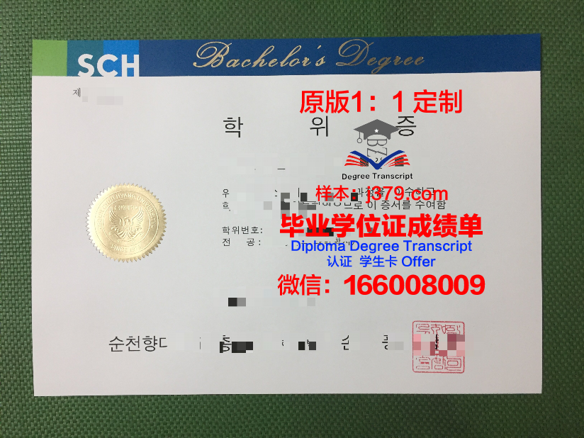 顺天第一大学学历证书