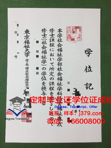 首都大学东京毕业证diploma