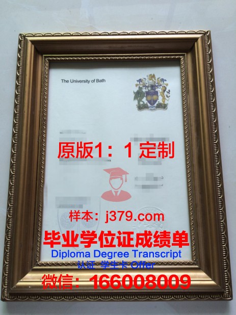 巴斯大学毕业证书图片模板(巴斯大学有奖学金吗)