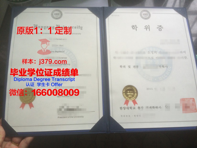 博士学位证书图片：一幅知识与荣耀的画卷