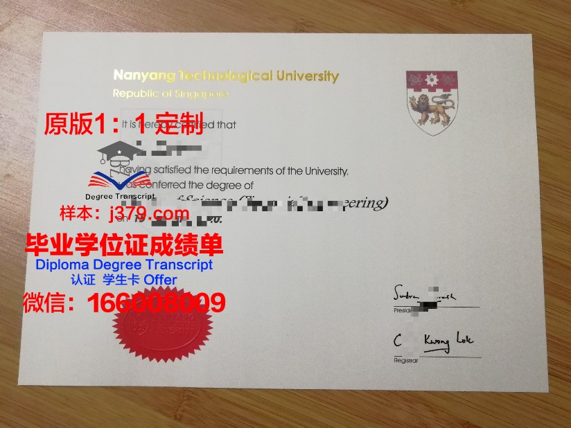 博瑞诺学院 diploma 毕业证