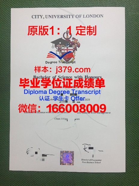 巴黎市工程师学院毕业证：开启未来职业生涯的金钥匙