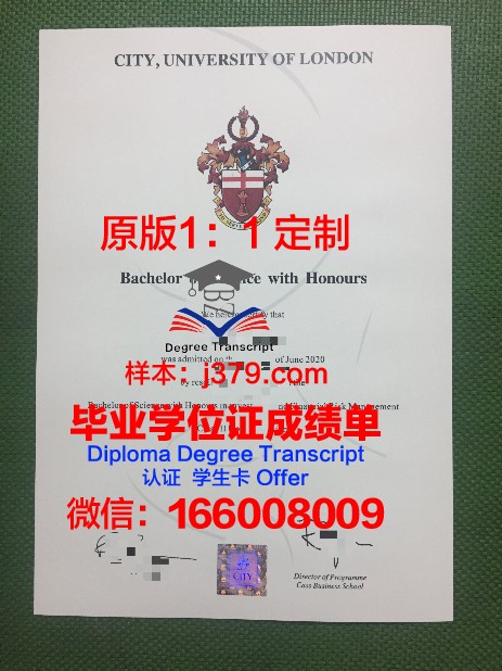 首尔大学毕业证图片样本(首尔大学毕业证图片样本高清)