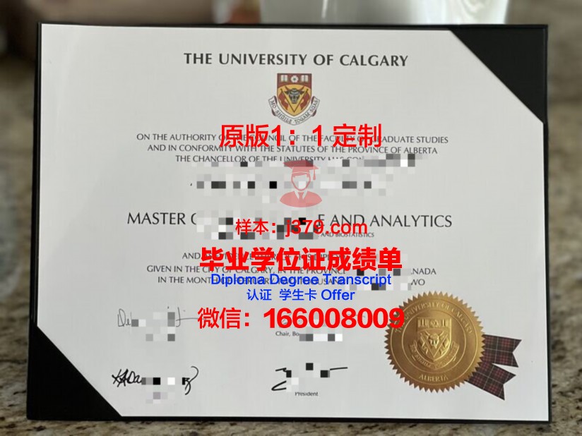 卡尔加里大学本科学位证：开启全球职业发展的大门