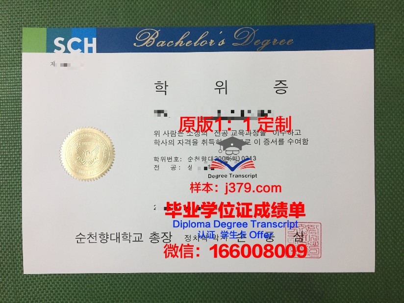 顺天第一大学成绩单(大学成绩名单)
