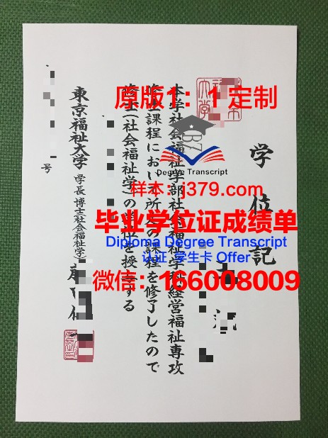 首都大学东京本科毕业证：一张纸的重量