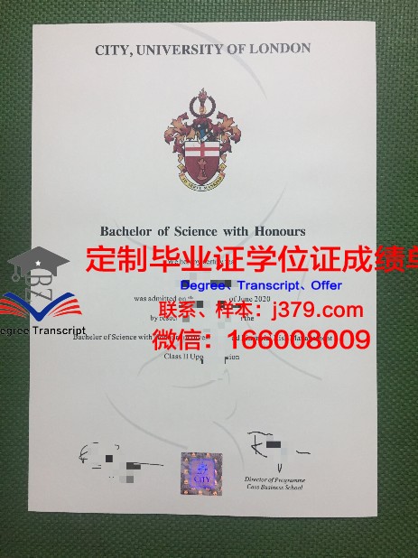 巴黎市工业物理化学学院成绩单(法国巴黎高等物理化工学院)