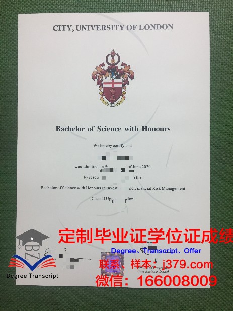 巴里理工大学毕业证真伪(都灵理工大学毕业证)