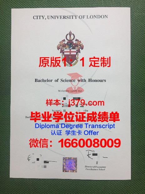 顿巴斯采矿冶金学院毕业证:一份承载荣誉与梦想的证书