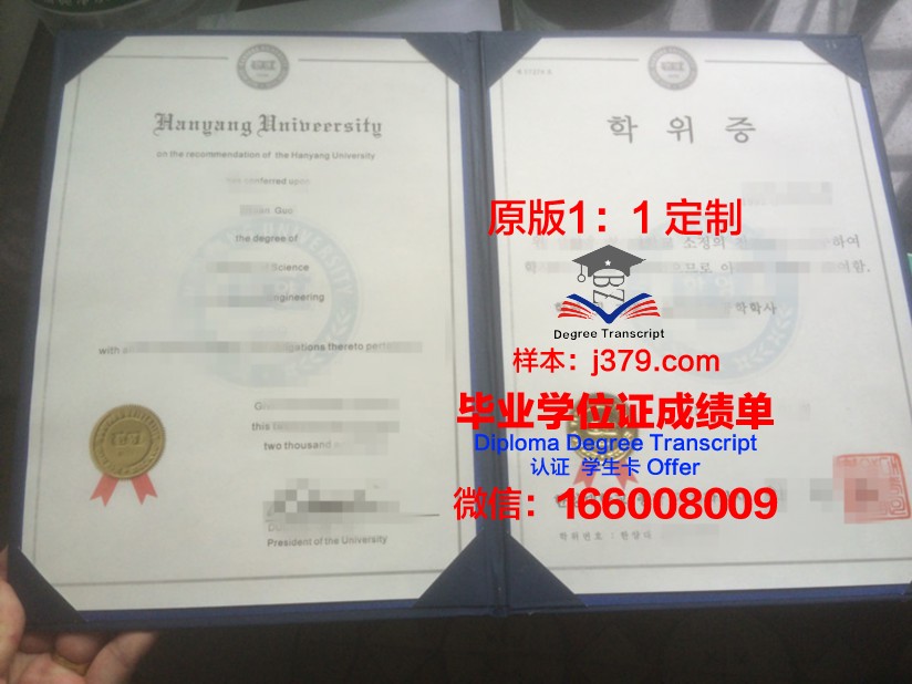 顿巴斯国立技术大学博士学位证：一张通往未来的通行证