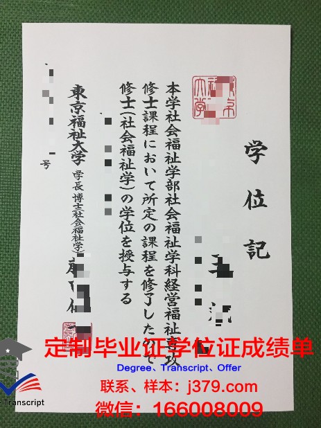 首都大学东京毕业证壳子(东京国际大学毕业证)