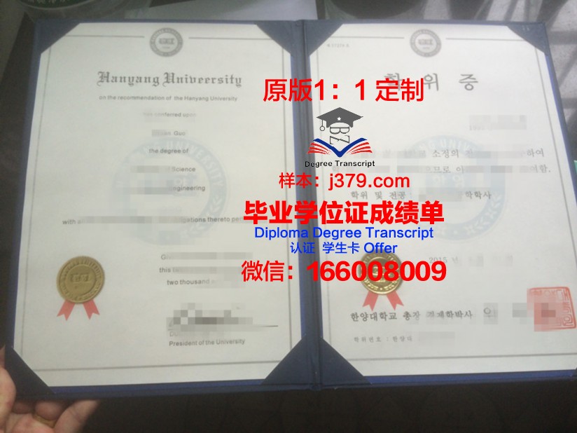 巴里美术学院博士学位证：艺术与学术的璀璨结晶