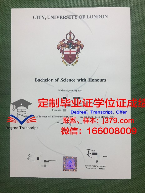 巴西利亚大学毕业证成绩单：一份承载荣誉与回忆的证书