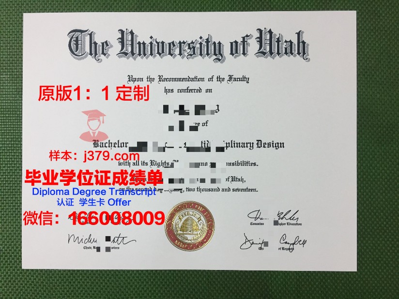 南犹他大学文凭(南犹他大学学费)