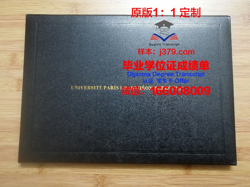 巴黎市工程师学院毕业证案例(巴黎高等工程技术学校)
