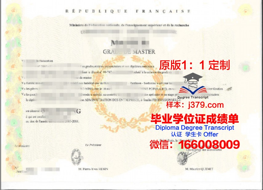 巴黎九大博士毕业证：全球化时代下的管理智慧结晶