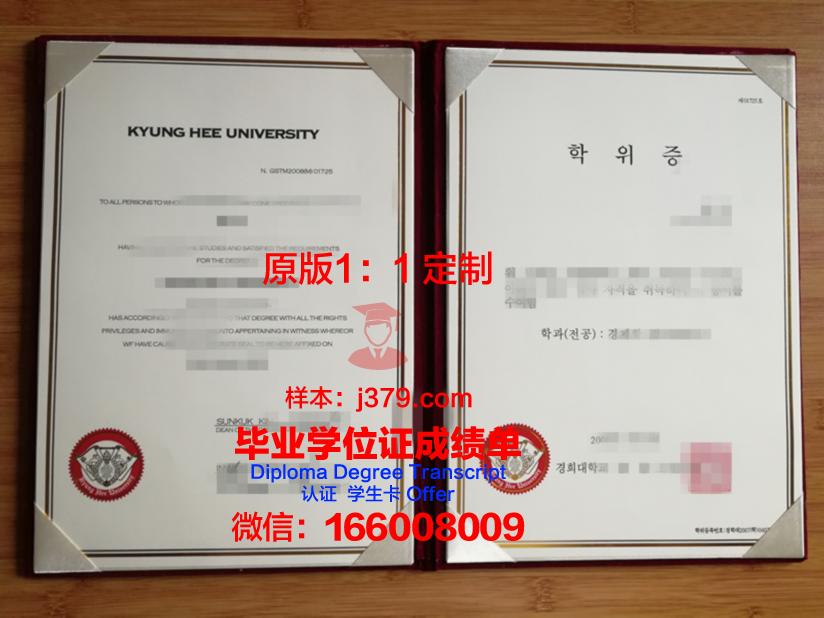 巴斯克大学的毕业证书：荣誉与成就的象征