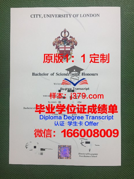 香港工作签毕业证弄丢(香港大学毕业证补办)