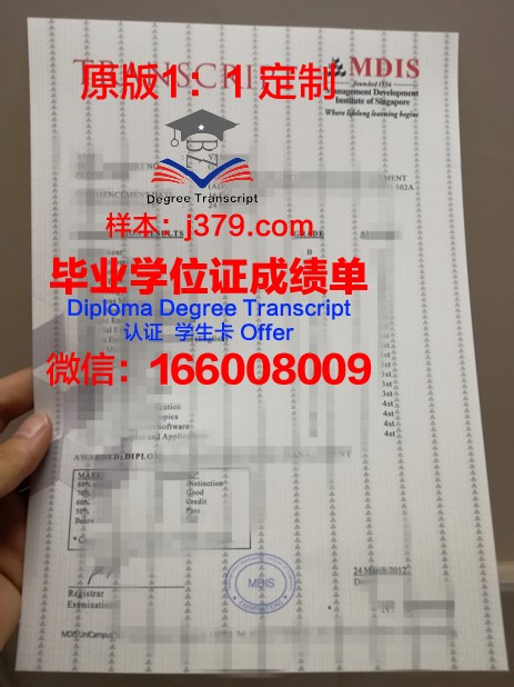 顿河国立服务学院成绩单：一份跨国教育的见证