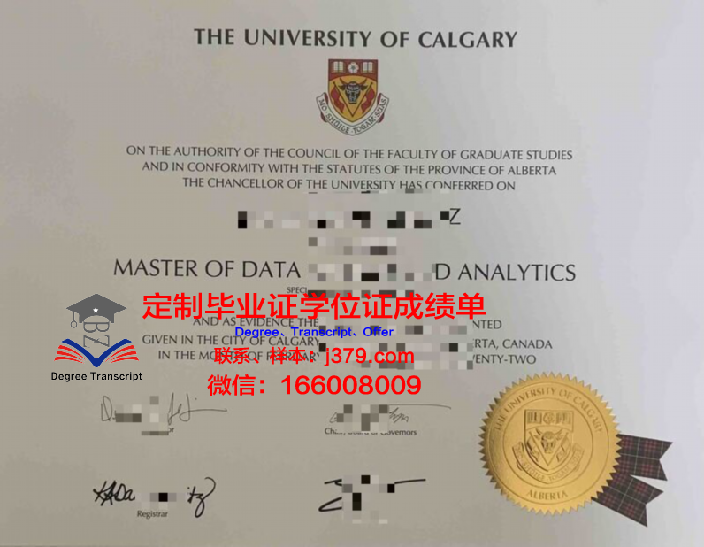 卡尔加里大学毕业学位