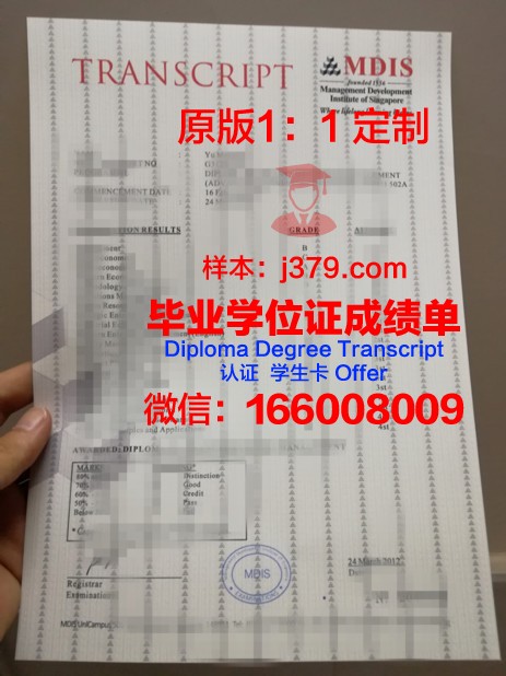 博特拉商学院学位成绩单定制：打造个性化教育新篇章