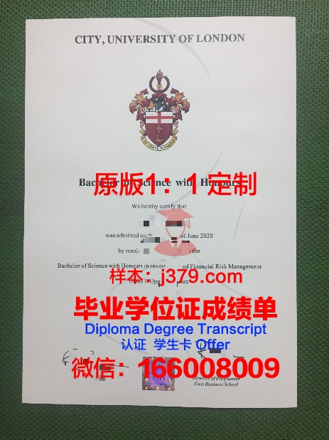 博洛尼亚大学毕业证多大可以考(博洛尼亚大学毕业证照片)
