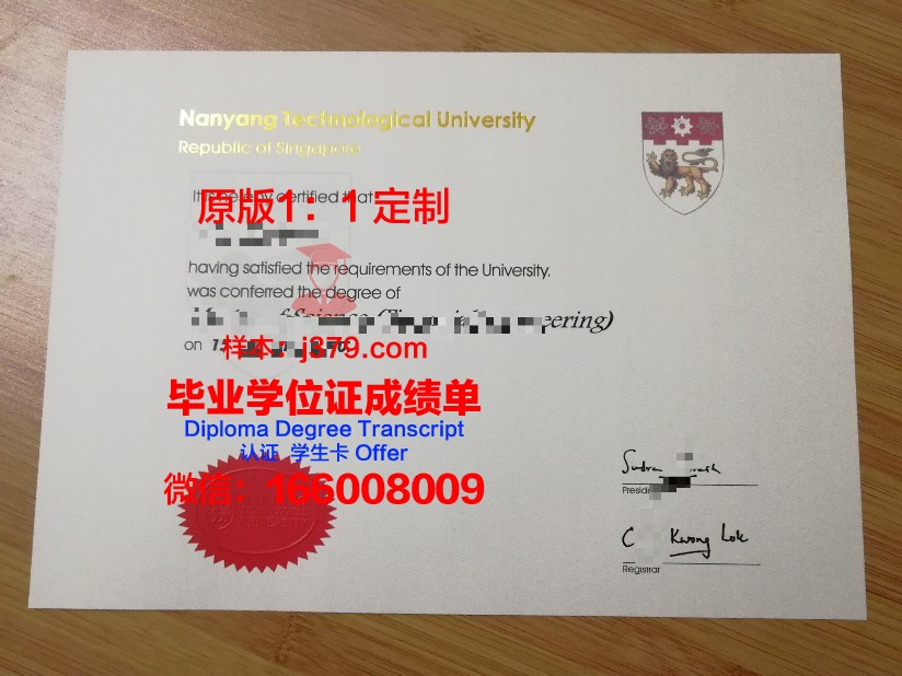 博士毕业证丢了怎么办啊