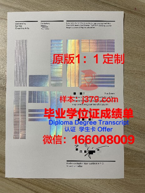 巴黎平面艺术高等职业学院成绩单:一份跨越国界的艺术盛宴