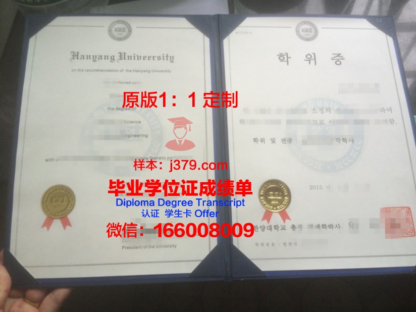 巴黎地球物理学院博士学位证：一份跨越时空的荣誉