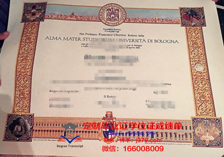 博洛学位成绩单定制全攻略
