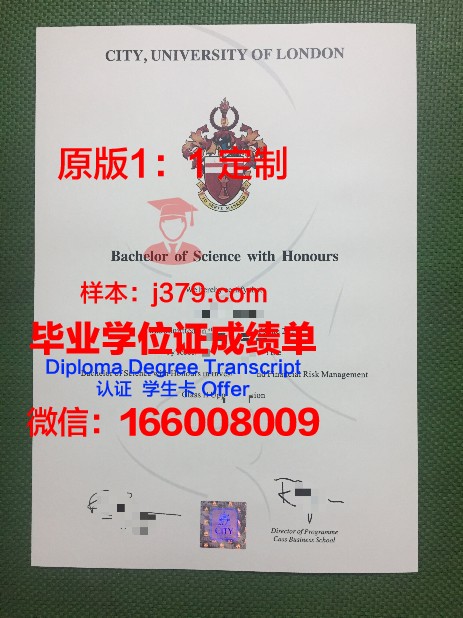 巴斯克大学毕业证补办